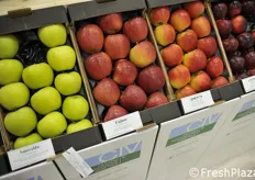 Alcune varietà e selezioni di mele del Civ di Comacchio (Ferrara).