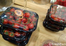 "Presso la stazione sperimentale Enza Zaden inaugurata nel 2015 e ubicata a Santa Croce Camerina, in provincia di Ragusa (Sicilia), è stato sviluppato il mini TomAzur, versione più piccola del preesistente ciliegino TomAzur. Oltre alla pezzatura più contenuta (che risponde all'attuale domanda di mercato), questo ciliegino mantiene un grado Brix costante anche nei mesi critici di gennaio e febbraio. Molto facile da mangiare e cucinare, grazie a una buccia che si "scioglie in bocca"."