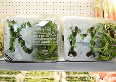 Baby kale e misticanza.