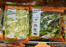 Le referenze Zerbinati.