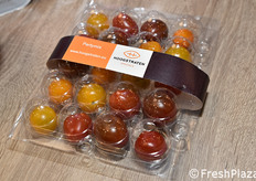 Hoogstraten (Belgio)