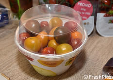 Hoogstraten (Belgio)