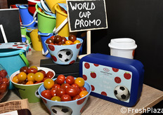 Hoogstraten (Belgio)