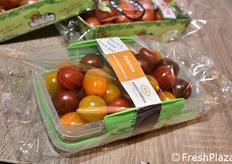 Hoogstraten (Belgio)