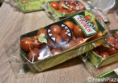 Hoogstraten (Belgio)