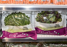 GASA Odense Frugt-Gront (Danimarca)