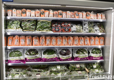 GASA Odense Frugt-Gront (Danimarca)