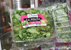 Val Nantais (Francia)