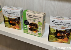 Roger Descours (Francia)