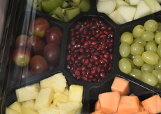 Mirontell Fein & Frisch (Germania)