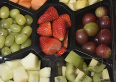 Mirontell Fein & Frisch (Germania)