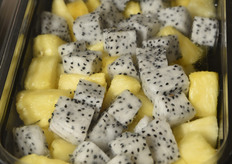 Mirontell Fein & Frisch (Germania)