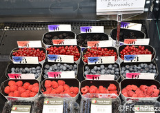 Sous Fresh (Paesi Bassi)