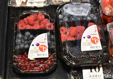 Sous Fresh (Paesi Bassi)