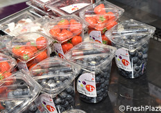 Sous Fresh (Paesi Bassi)