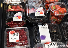 Sous Fresh (Paesi Bassi)