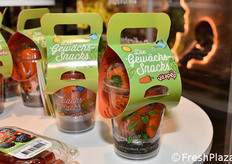 Harvest House International (Paesi Bassi)