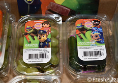 Harvest House International (Paesi Bassi)