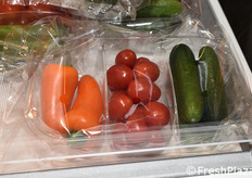 Harvest House International (Paesi Bassi)