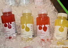 Hoogesteger Fresh Specialist (Paesi Bassi)