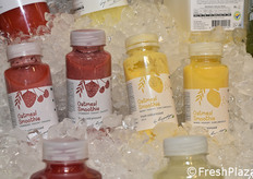 Hoogesteger Fresh Specialist (Paesi Bassi)