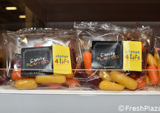 Harries (Paesi Bassi)