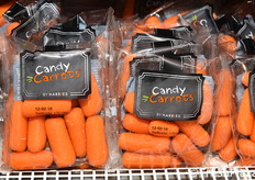 Harries (Paesi Bassi)