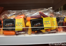 Harries (Paesi Bassi)