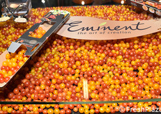 Eminent Food & Seeds (Paesi Bassi)