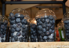 Haluco (Paesi Bassi)