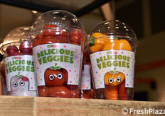 Haluco (Paesi Bassi)