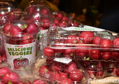 Haluco (Paesi Bassi)