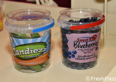 Levarht (Paesi Bassi)