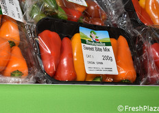 Unica Fresh (Spagna)