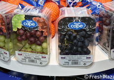 Capespan (Sudafrica)