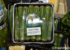 Blue River (Thailandia)