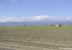 Il Fucino. Quest'anno le semine sono in forte ritardo.