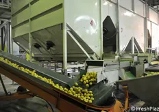 Stabilimento di stoccaggio e lavorazione dell'Associazione marsicana produttori patate.