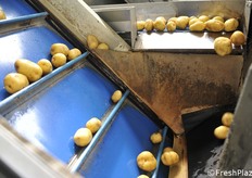 Risalita dopo il lavaggio. Si va alla calibrazione.