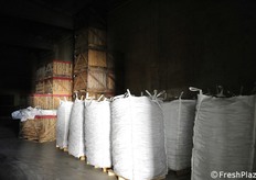 Ultime patate in cella di stocchaggio ai primi di aprile 2018.