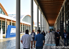 Tra le due ali di padiglioni espositivi si colloca quest'area esterna con fontane.