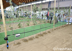 Acqua Campus - esempi di irrigazione a goccia