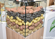 Prodotti della Antonio Ruggiero in esposizione.