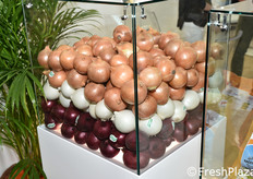 Prodotti della Antonio Ruggiero in esposizione.