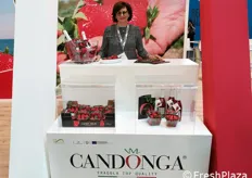 Carmela Suriano, Ceo Club Fragola Candonga