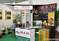 Vendita piante per frutteti, vivai, alberi da frutto.