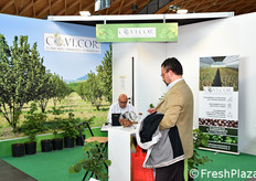 Consorzio Vivaistico Corilicolo