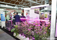 Automazione per serre - Impianti idroponici e aeroponici.