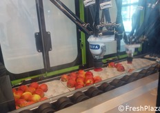 Gli efficienti e rapidi bracci della macchina Greefa.