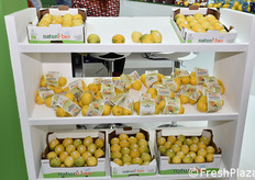 Agrumi di Sicilia proposti dal Gruppo Villari.